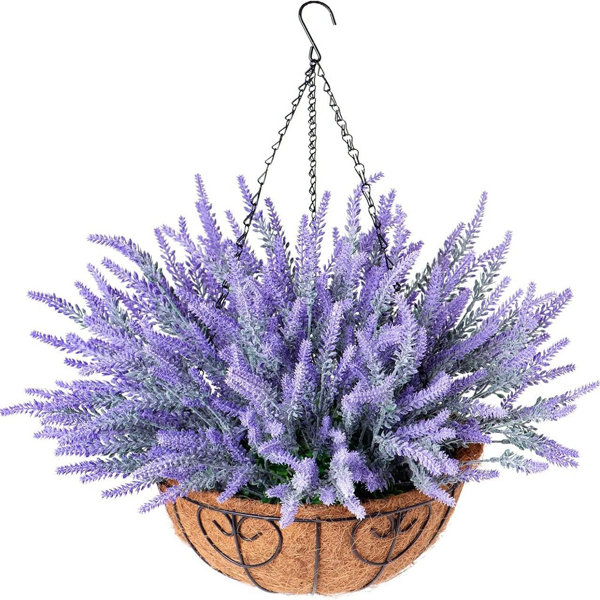 Primrue Lavender Hanging Basket Arrangement Wayfair